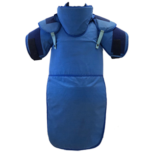 Demining Foxtrot 2 Apron sq
